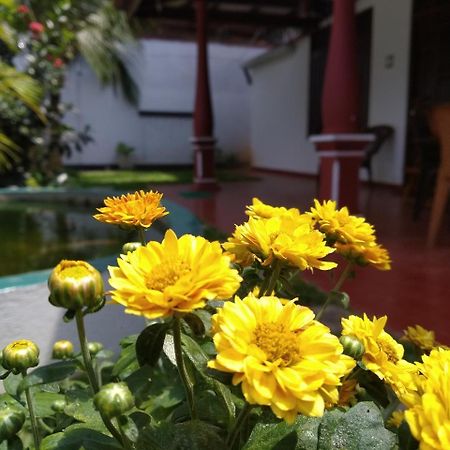 Easy Stay Lodge Weligama Exterior foto