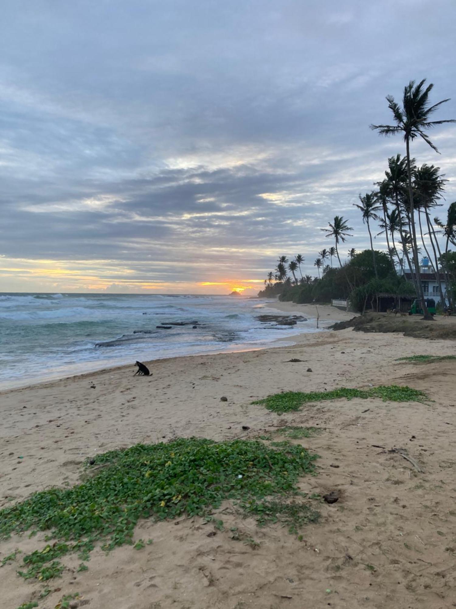 Easy Stay Lodge Weligama Exterior foto