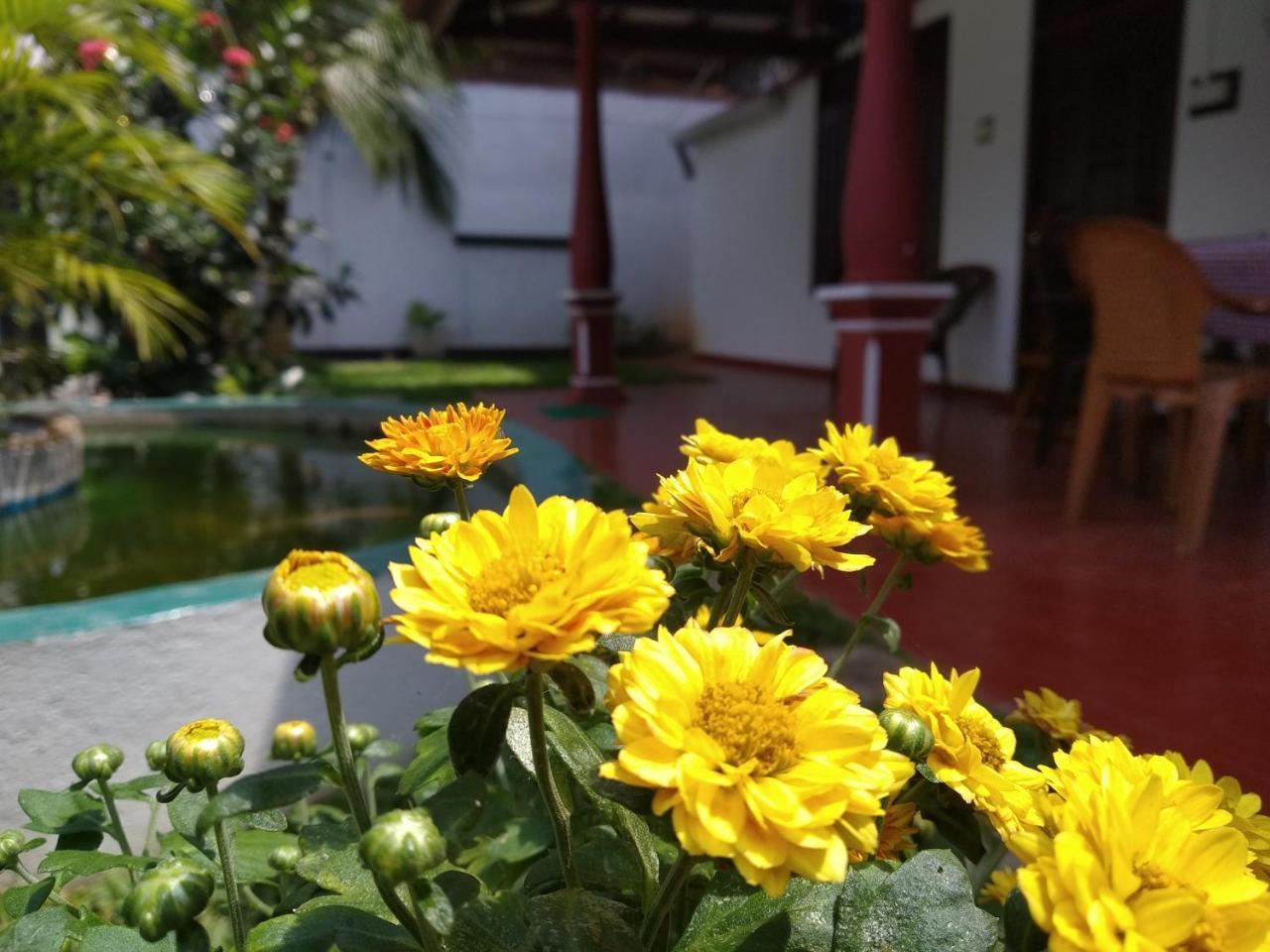 Easy Stay Lodge Weligama Exterior foto