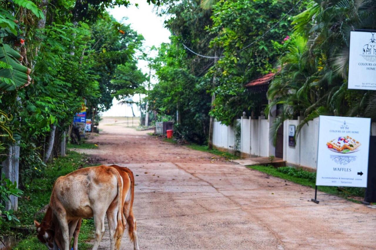 Easy Stay Lodge Weligama Exterior foto